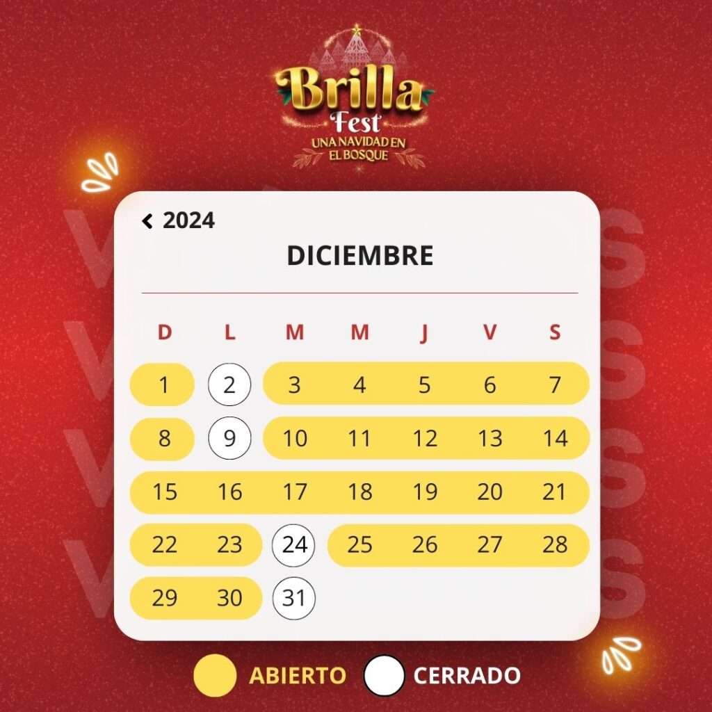 Brilla Fest en el Edomex