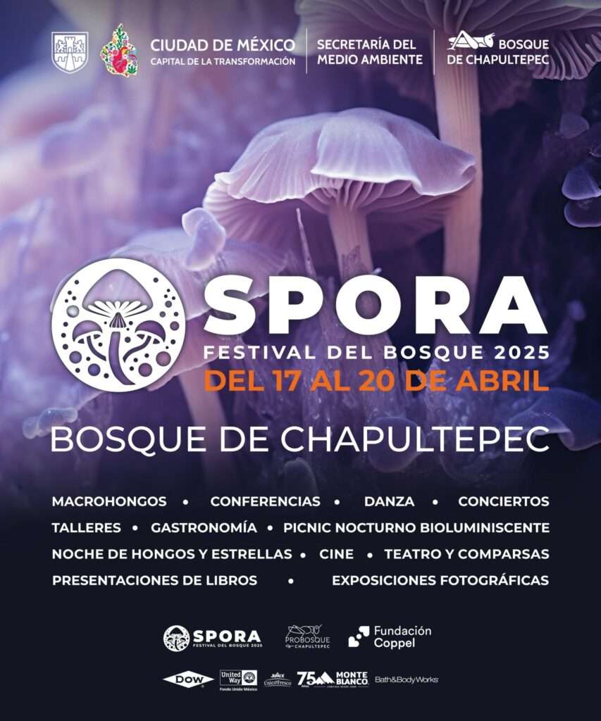 Festival Spora en la CDMX
