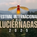 Festival Internacional de las Luciernagas