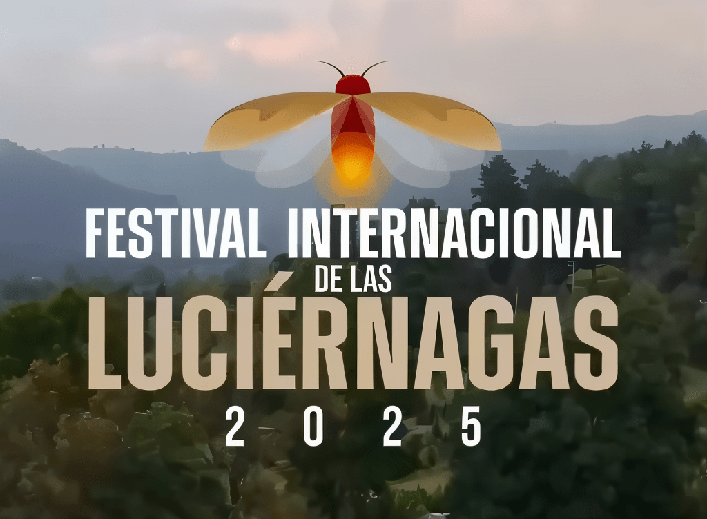 Festival Internacional de las Luciernagas